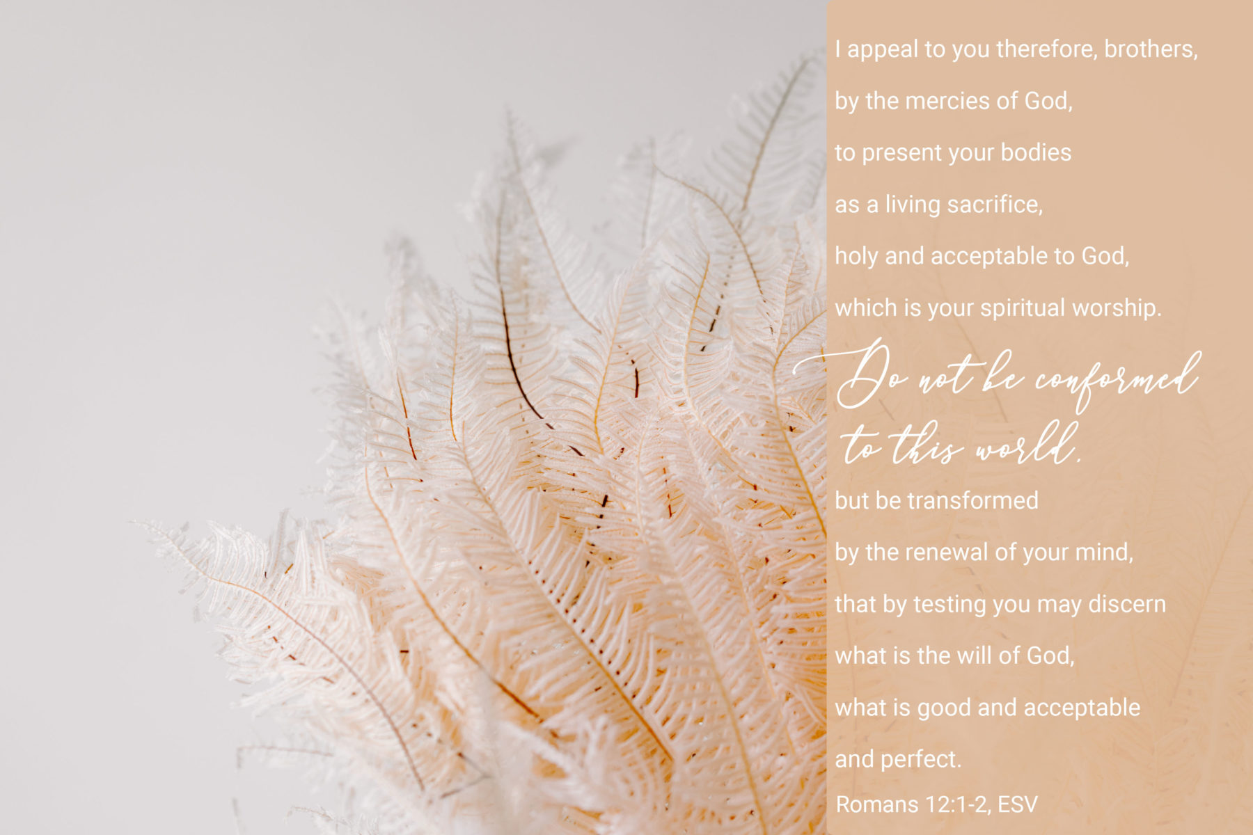 Do not be conformed to the world but be transformed by the renewing of you mind. This is how we conform to the image of Christ and walk in His holiness!