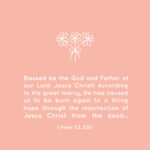 Our Living Hope is found in Christ! His death and resurrection allows us to be born again and live in Him.